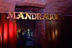 mandragora200903110038